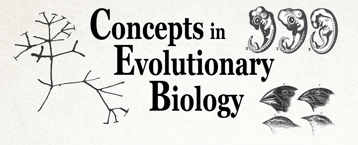 Concepts in Evolutionary Biology