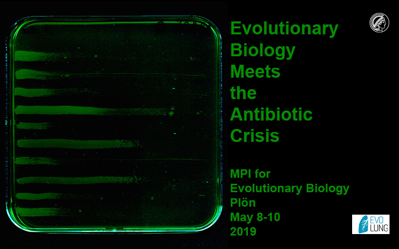 Evolutionary Biology meets the Antibiotic Crisis
