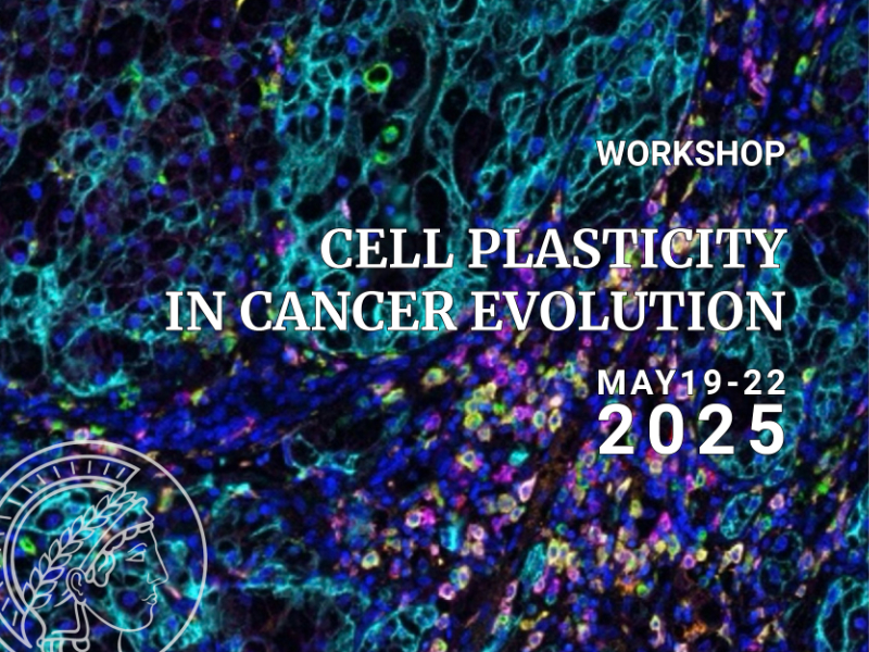 Cell Plasticity in Cancer Evolution