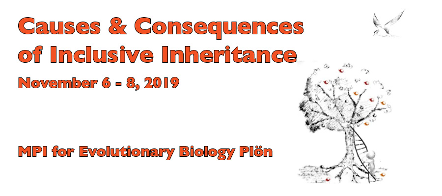 Causes and Consequences of Inclusive Inheritance