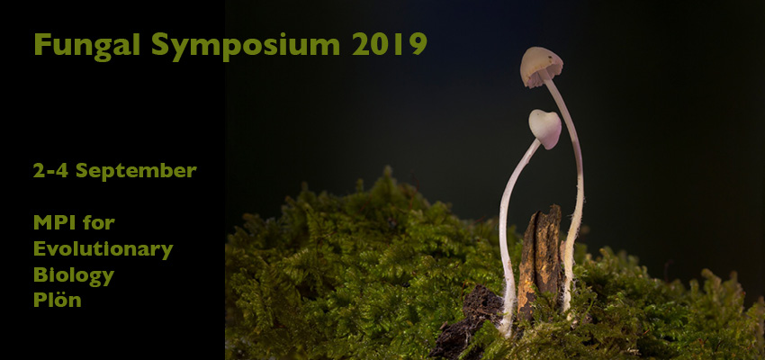 Fungal Symposium 2019