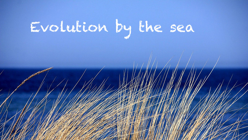 Evolution by the sea - Annual Retreat & Mini-Conference