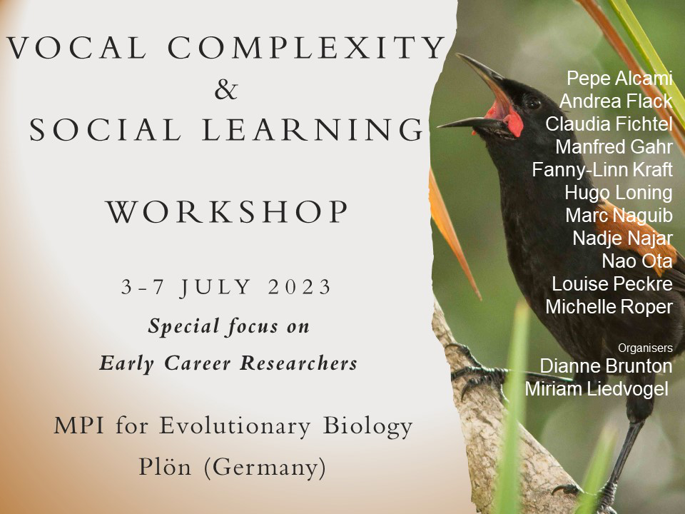 Vocal Complexity & Social Learning Workshop
